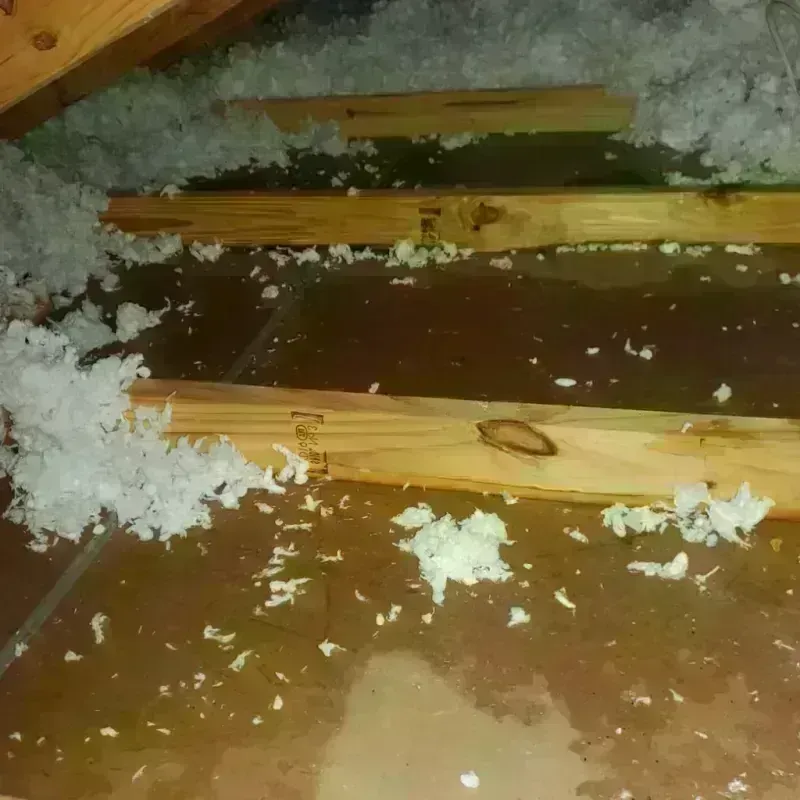 Attic Water Damage in Zuni Pueblo, NM