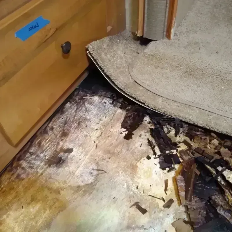 Best Wood Floor Water Damage Service in Zuni Pueblo, NM